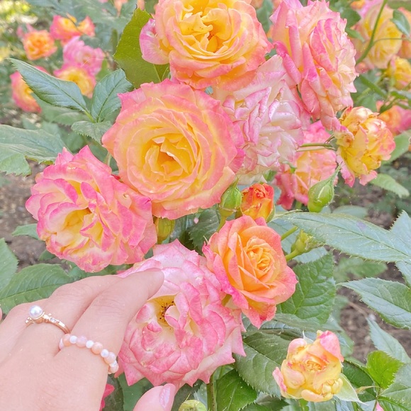 Set of 2 Bead Rings ft Earthy Tones - Picture 2 of 6